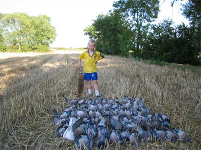 Pigeon Watch UK - Pigeon Shooting