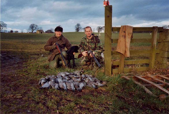 Pigeon Watch UK - Pigeon Shooting