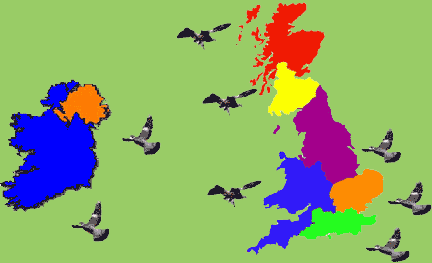 Pigeon Watch UK - Pigeon Shooting